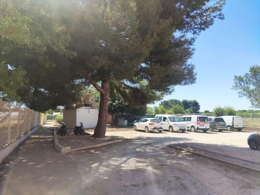 Harmonie Du Sud Apartment Le Grau-d'Agde Ngoại thất bức ảnh