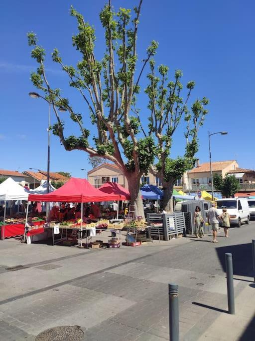 Harmonie Du Sud Apartment Le Grau-d'Agde Ngoại thất bức ảnh